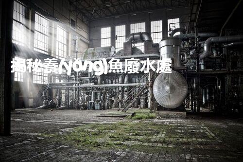 揭秘養(yǎng)魚廢水處理的革命性技術(shù)？